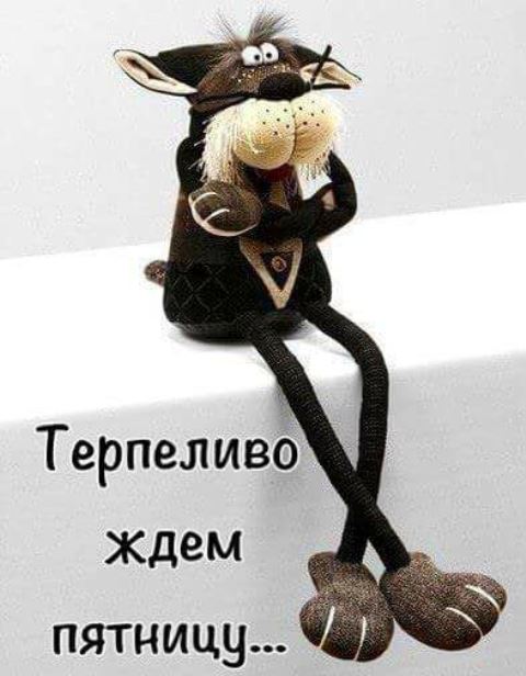 Подборка интересных и веселых картинок