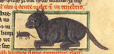 Кошки средневековья и эпохи Возрождения