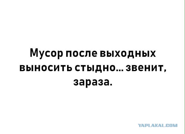Немного картинок на вечер этой субботы