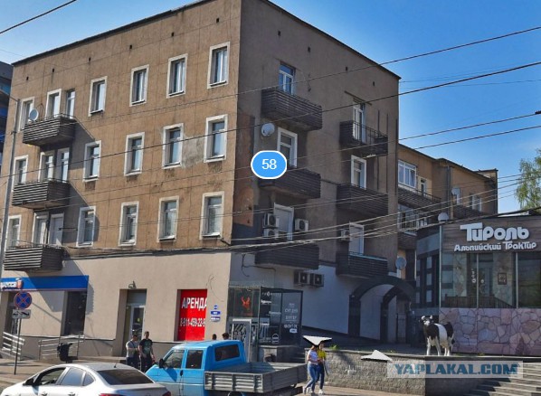 Кто автор граффити, кто-нибудь знает?