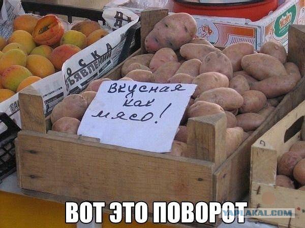 Разные по свежести картинки. Опять