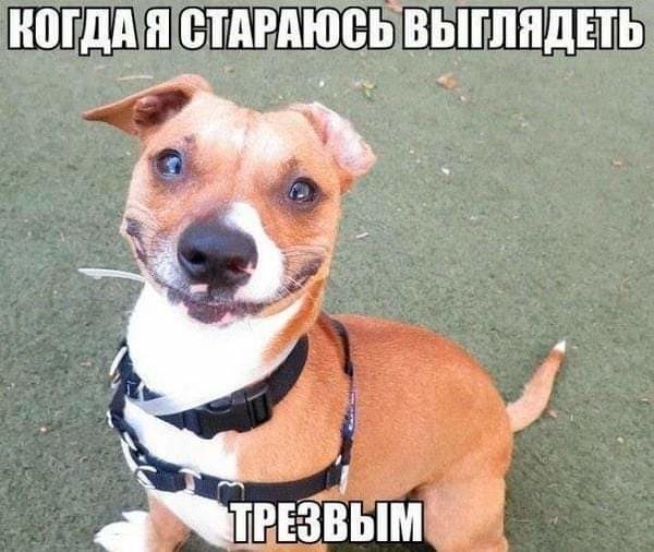 Что выберешь ты?