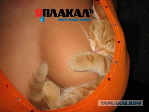 ГЕРОЙ ЯПа