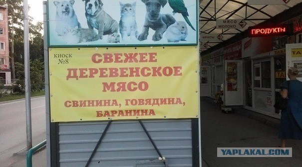 Креветки, Кампари и свиная икра
