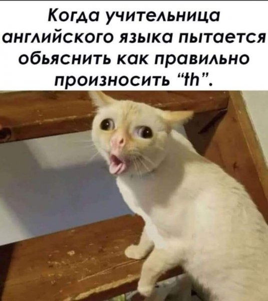 Чуток картинок. 27.02.20