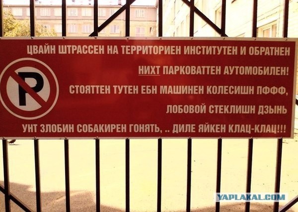 Этот взгляд