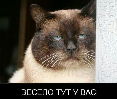 Калькулятор и эпидемия в Италии