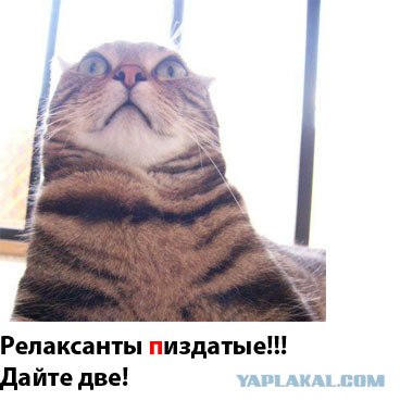 Просто вторник!