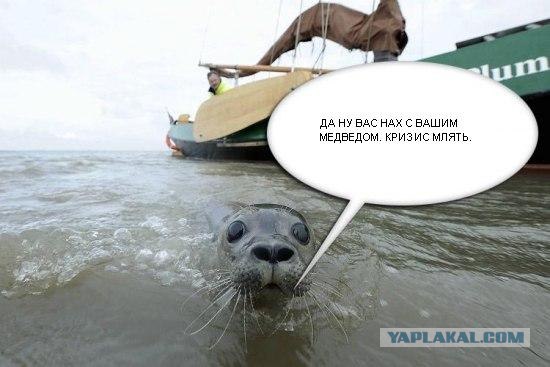 Второе обращение Медведева