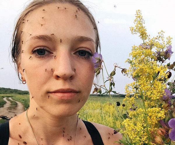 Лучше любого ресторана