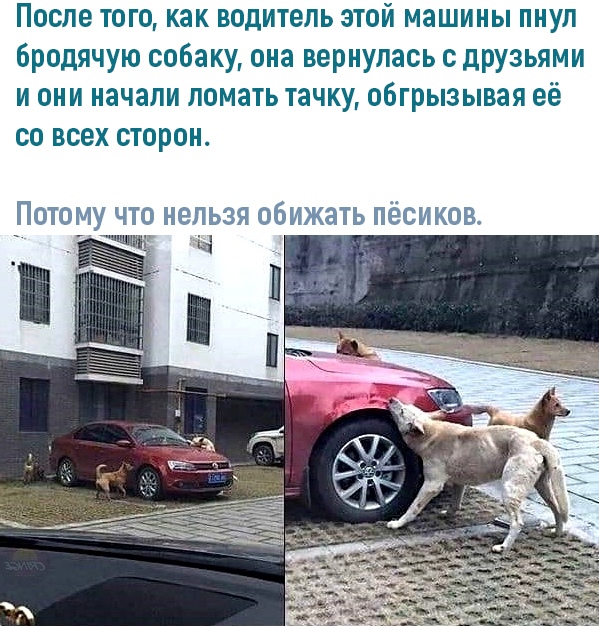 Картинки разные 26.01.2021