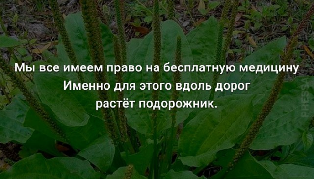 Картинки и мемы для настроения