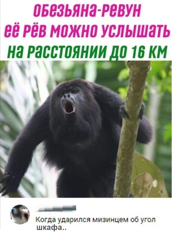 Картинки с надписями и всякие жизненные фразы 27.03.21
