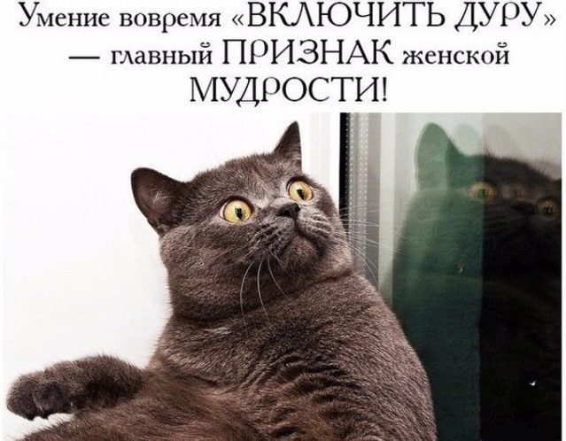 Жена стала лесбиянкой