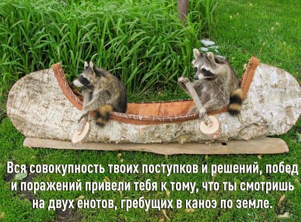 Картинки и мемы для настроения 12.05.2021