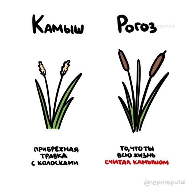 Не путайтесь, ребята