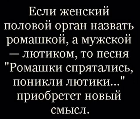 Весёлый полтишок 20.07