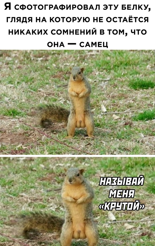 Картинки и мемы для настроения 31.08.2021