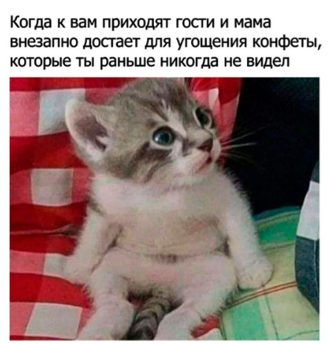 Так себе картинки 07.09.21