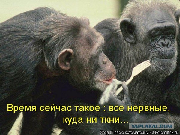 Всяческие картинки 10.11.2021