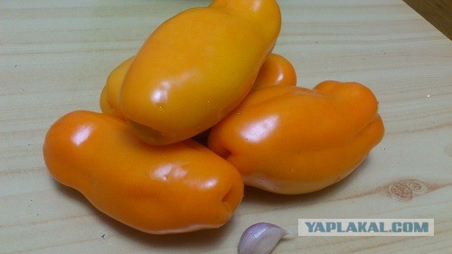 На заметку огородницам