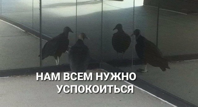НестандART v. 52.0