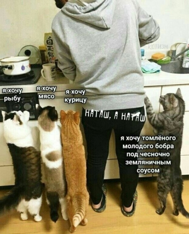 Так себе картинки 06.09.22
