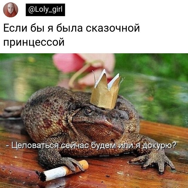 Картинки