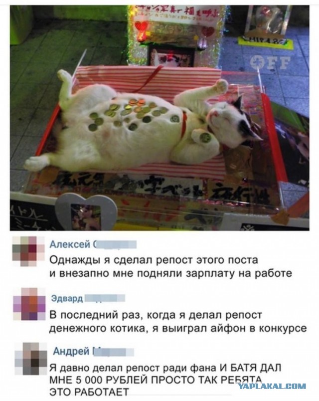 Скриншоты и комментарии из социальных сетей 10.12.22