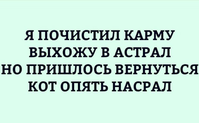 Картинки и мемы. Выходные близко...