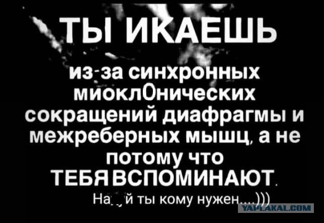 Чернила-4