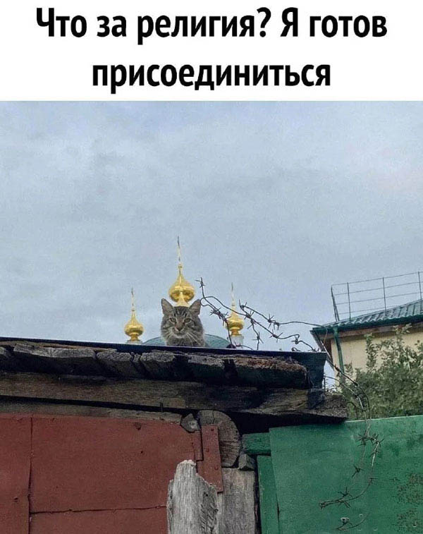 Романы и баяны
