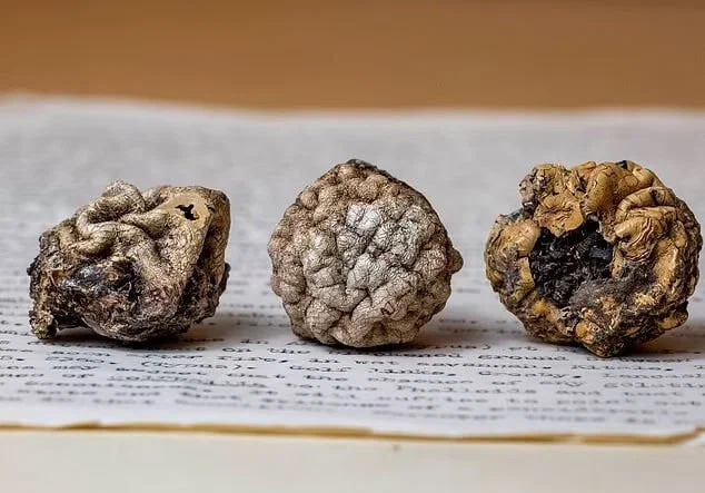 Пранк длиною почти 70 лет