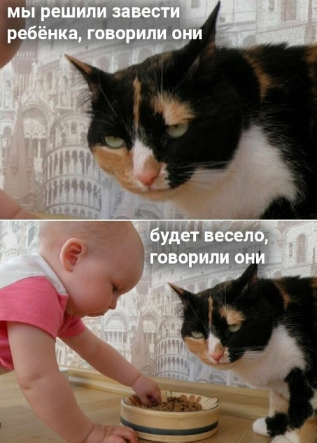 Так себе картинки 27.08.23