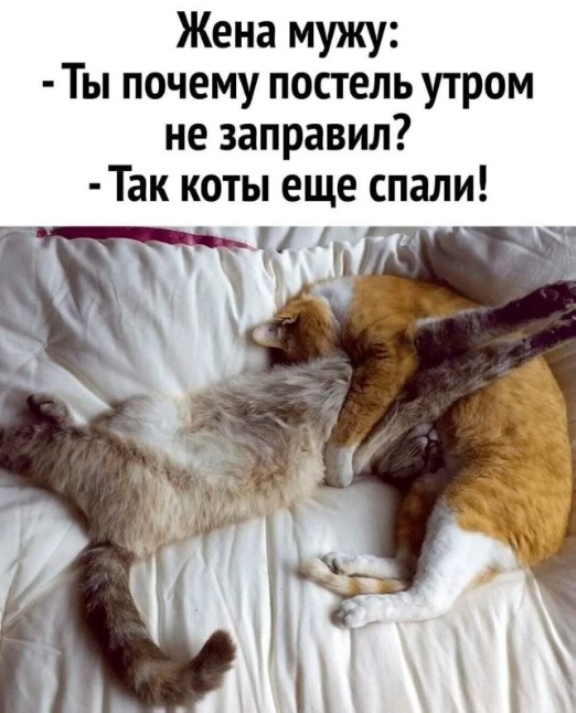Нуштош 20.09.2023