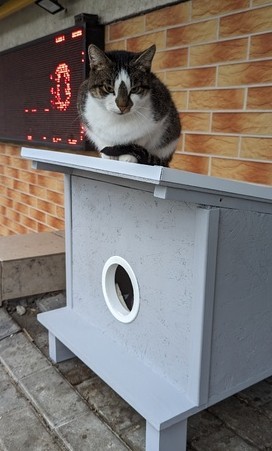 Кошкин дом