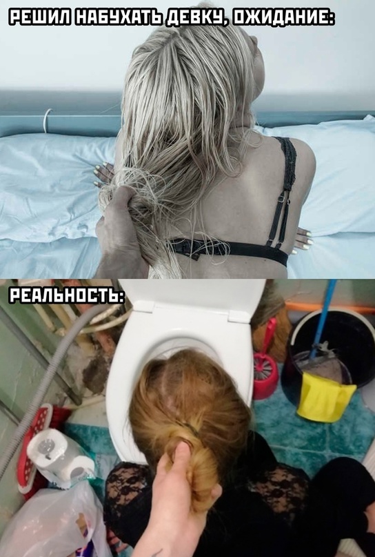 Весёлый полтишок 09.11.23