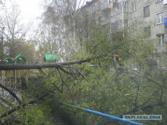 Где мои деньги?