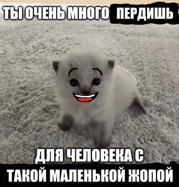 Всего понемногу. От 05.04.2024