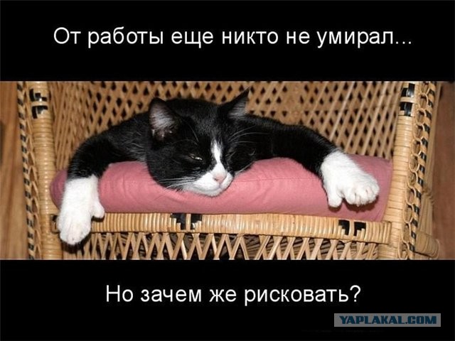 Поработал,можно и поесть)))