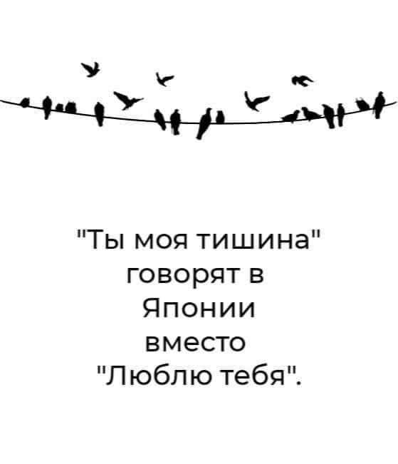 Прикольные и просто красивые картинки 14.06.24
