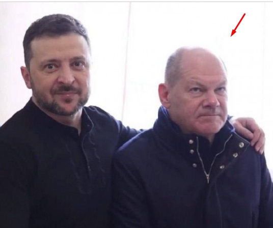 Это смешно даже без всяких подписей