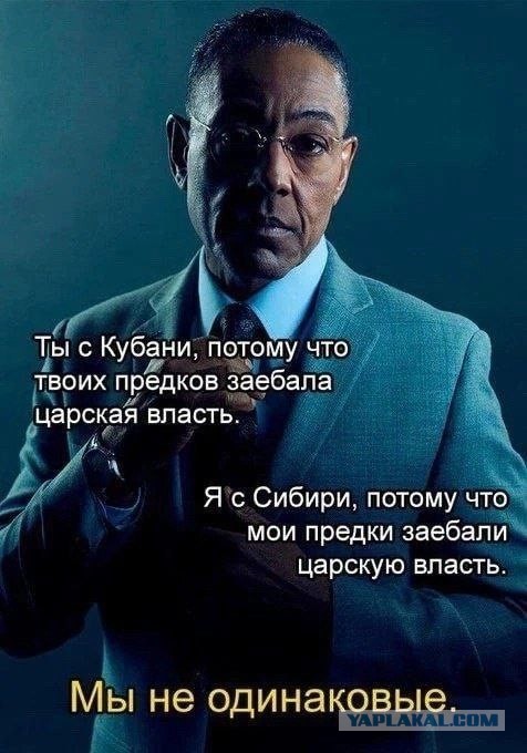 Прямая линия и большая пресс-конференция президента России Путина: онлайн-трансляция