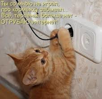 Котэ, совэ и все-все-все