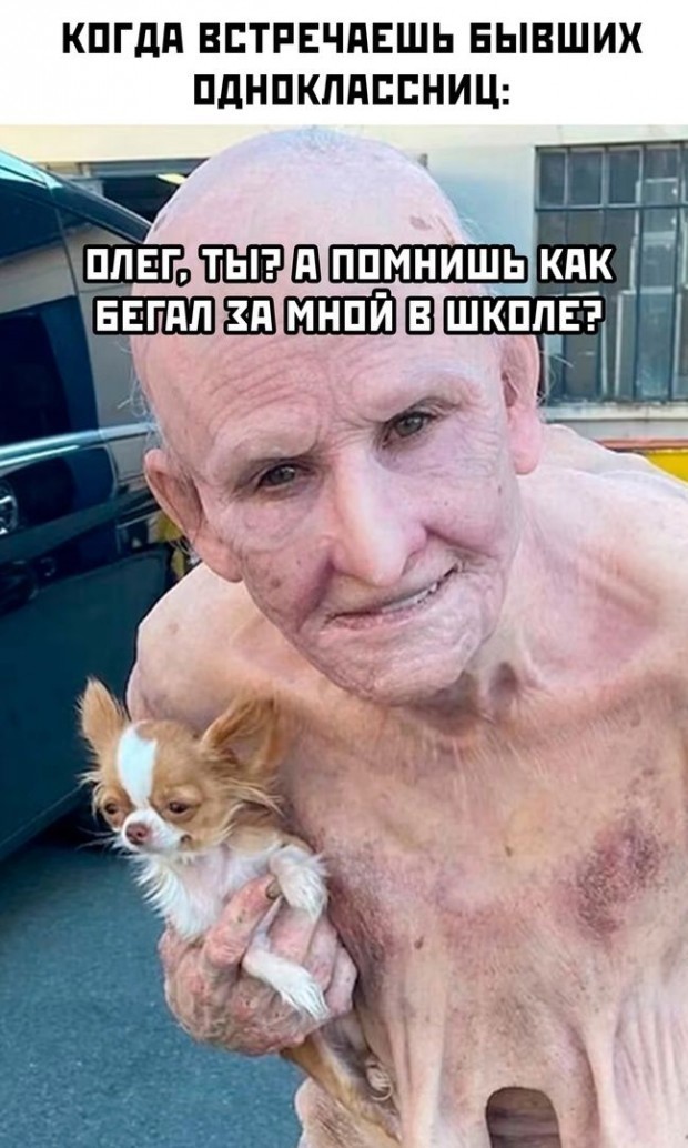 Своеобразный юмор картинок