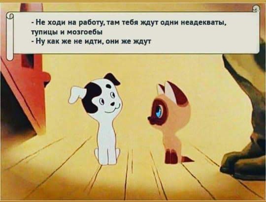 Нуштош 06.05.2025. Старая реальность (s3e12)