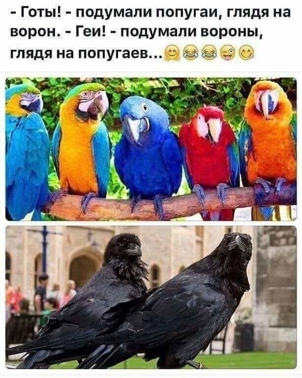 Маленькая пятница 6.08.25