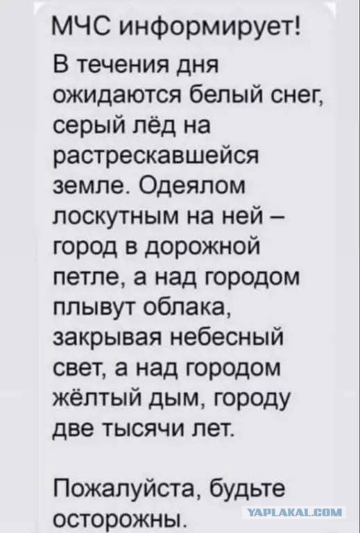 Картинки