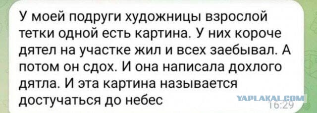 Вот ты дятел