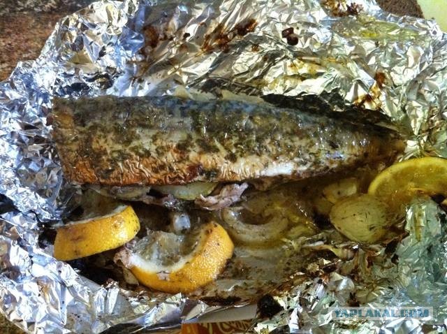 Почему сельдь не жарят и не кладут в уху, раз она такая вкусная: что не так с этой рыбой